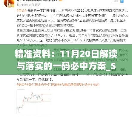 精准资料：11月20日解读与落实的一码必中方案_STY3.33.53独立版