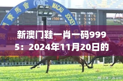 新澳门鞋一肖一码9995：2024年11月20日的见解与规划_GSM6.72.86习惯版