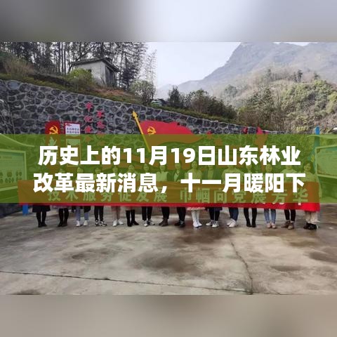 山东林业改革新篇章，友情与改革的温馨故事在暖阳十一月启幕