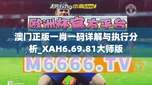 澳门正版一肖一码详解与执行分析_XAH6.69.81大师版