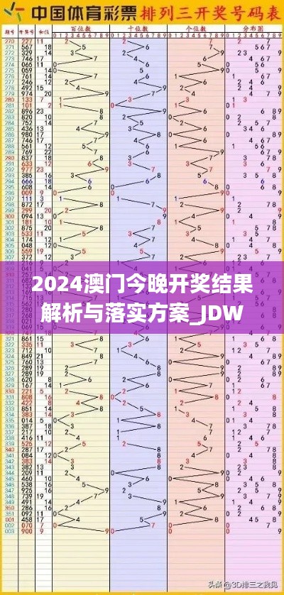 2024澳门今晚开奖结果解析与落实方案_JDW2.14.28创意版