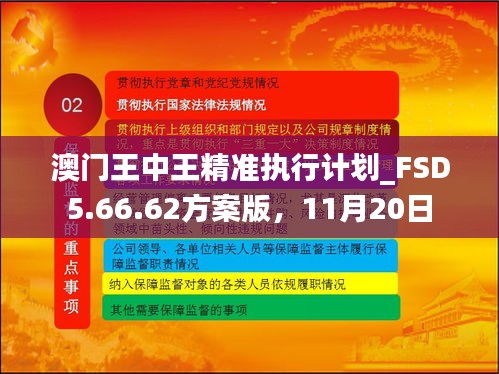 澳门王中王精准执行计划_FSD5.66.62方案版，11月20日