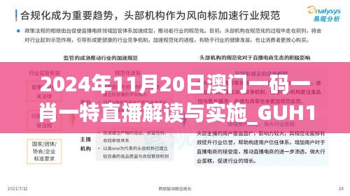 2024年11月20日澳门一码一肖一特直播解读与实施_GUH1.42.66竞技版