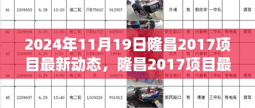 2024年11月19日隆昌2017项目最新动态解析与深度评测