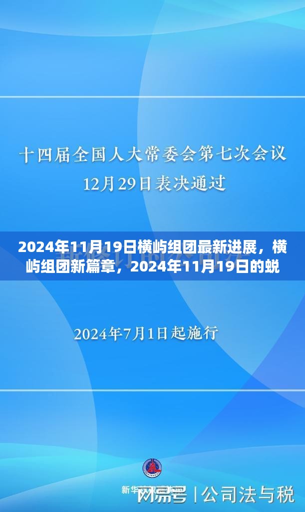 2024年11月20日 第23页