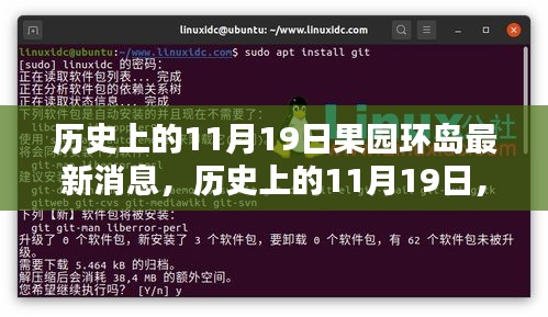 历史上的11月19日，果园环岛最新消息全面探索指南