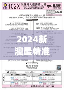 2024新澳最精准资料大全325期,审慎解析落实路径_NPC2.40.66炼髓境