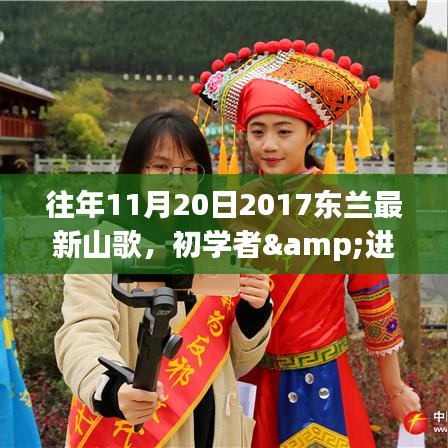 2017年东兰最新山歌学习指南，适合初学者与进阶用户的11月20日山歌指南