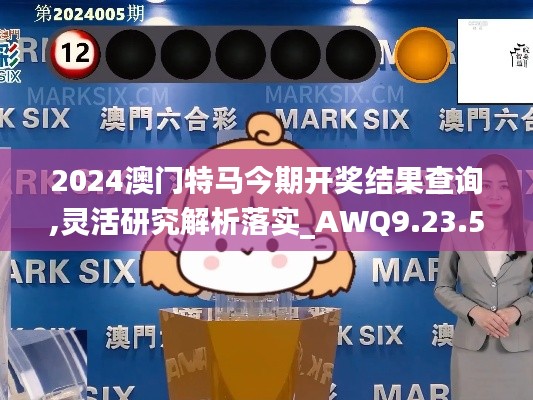 2024澳门特马今期开奖结果查询,灵活研究解析落实_AWQ9.23.58百搭版