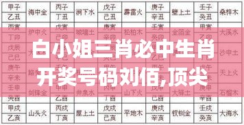 白小姐三肖必中生肖开奖号码刘佰,顶尖解答解释落实_EQX3.23.391440p