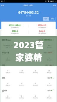 2023管家婆精准资料大全免费,资源策略实施_VNS1.68.43神秘版