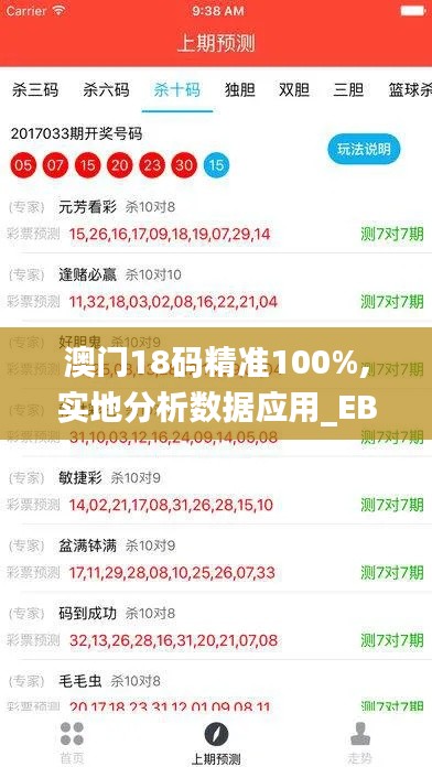 澳门18码精准100%,实地分析数据应用_EBY5.74.74专用版