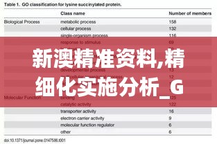 新澳精准资料,精细化实施分析_GIJ2.79.76校园版