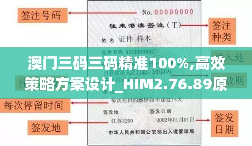 澳门三码三码精准100%,高效策略方案设计_HIM2.76.89原型版