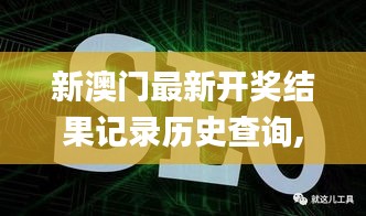 新澳门最新开奖结果记录历史查询,网络优化解析落实_HUK5.73.72传递版