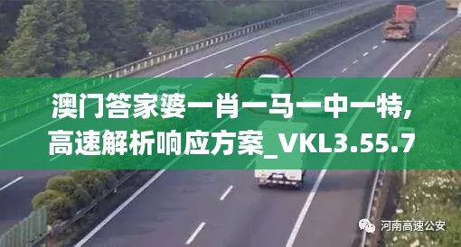 澳门答家婆一肖一马一中一特,高速解析响应方案_VKL3.55.73修改版