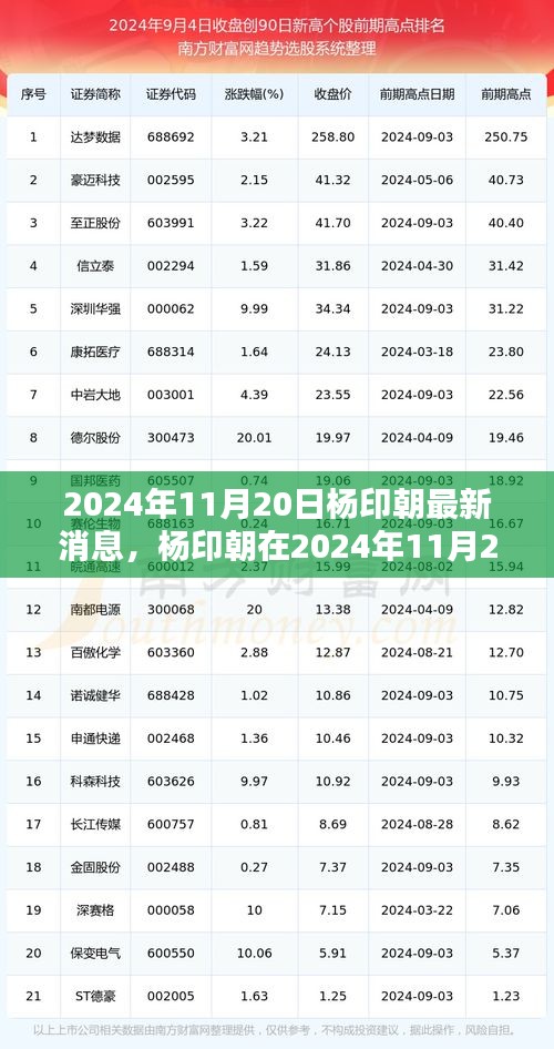 杨印朝最新动态曝光，2024年11月20日最新消息速递