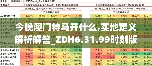 今晚澳门特马开什么,实地定义解析解答_ZDH6.31.99时刻版