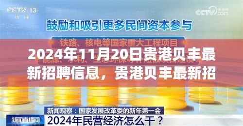 贵港贝丰最新招聘信息亮点解析，2024年11月20日概览