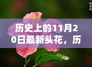 物以希为贵