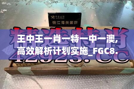 王中王一肖一特一中一澳,高效解析计划实施_FGC8.67.80掌中版