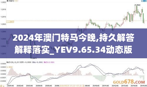 2024年澳门特马今晚,持久解答解释落实_YEV9.65.34动态版