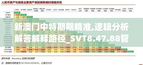 新澳门中特期期精准,逻辑分析解答解释路径_SVT8.47.88管理版