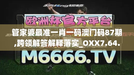 管家婆最准一肖一码澳门码87期,跨领解答解释落实_OXX7.64.37直观版