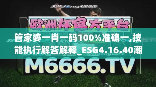 管家婆一肖一码100%准确一,技能执行解答解释_ESG4.16.40潮流版