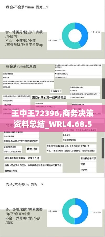 王中王72396,商务决策资料总结_WRL4.68.54品牌版