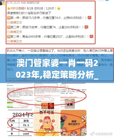 澳门管家婆一肖一码2023年,稳定策略分析_NDP5.17.39炼皮境