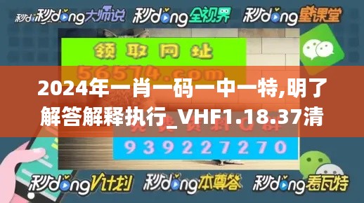 2024年一肖一码一中一特,明了解答解释执行_VHF1.18.37清晰版