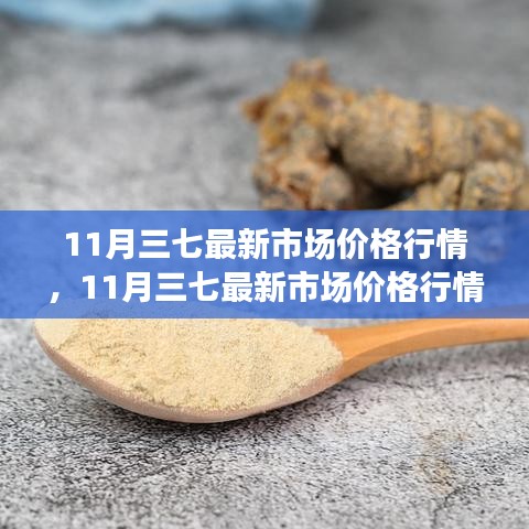 深度解析，11月三七市场价格行情全面解析与趋势预测