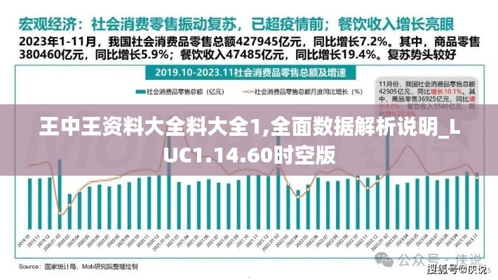 王中王资料大全料大全1,全面数据解析说明_LUC1.14.60时空版