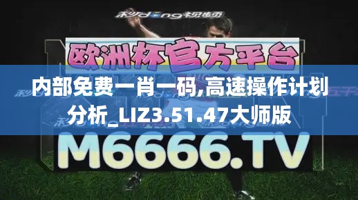 内部免费一肖一码,高速操作计划分析_LIZ3.51.47大师版