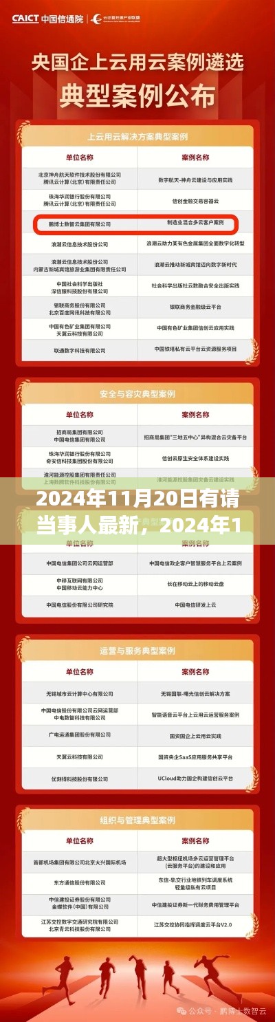 2024年11月20日当事人最新动态解析与更新