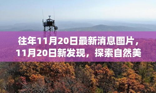 探索自然美景之旅，揭秘往年11月20日新发现与心灵宁静之旅的独家图片报道