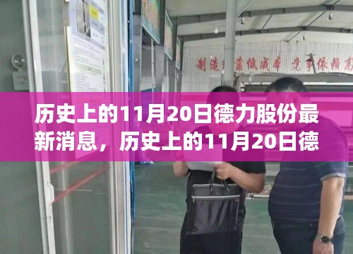 历史上的11月20日德力股份最新消息，历史上的11月20日德力股份最新消息及其影响下的多维度观点探讨