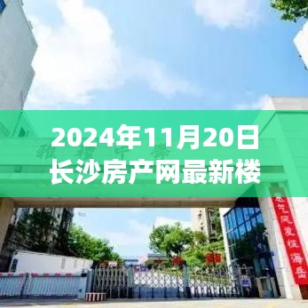 长沙房产网最新楼盘探秘，家的温馨与友情的邂逅（2024年11月20日）