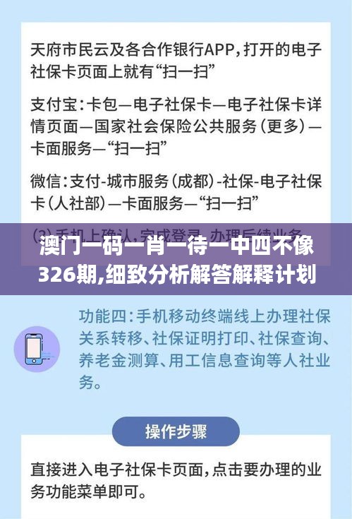 澳门一码一肖一待一中四不像326期,细致分析解答解释计划_YZD2.22