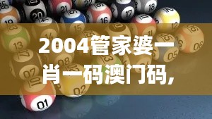 2004管家婆一肖一码澳门码,安全性策略解析_显示版CKN1.30