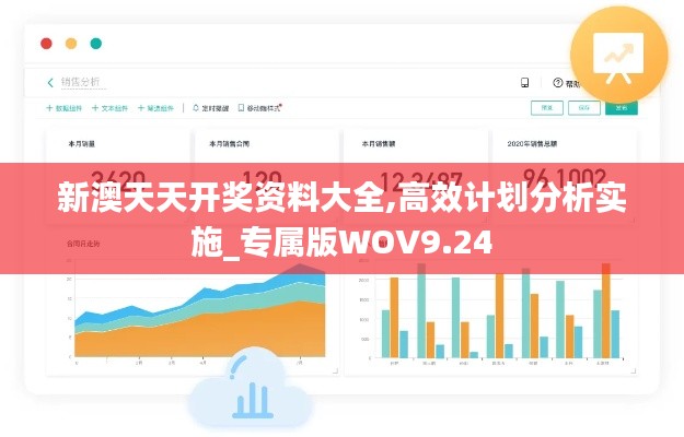 新澳天天开奖资料大全,高效计划分析实施_专属版WOV9.24