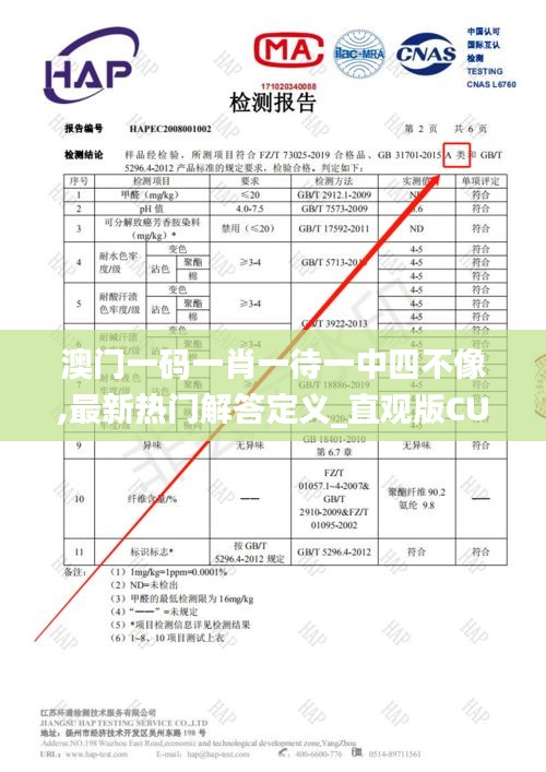 澳门一码一肖一待一中四不像,最新热门解答定义_直观版CUT4.56