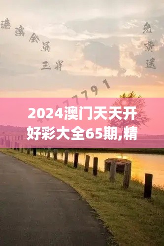 2024澳门天天开好彩大全65期,精细解读现象解释_网红版LFP5.34