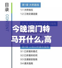 今晚澳门特马开什么,高效方案管理解答解释_投影版VHW7.38