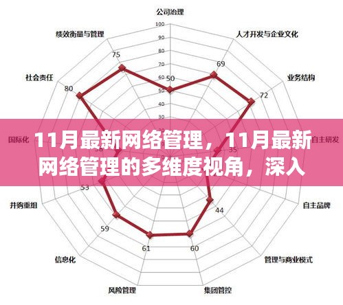 11月最新网络管理深度解析与多维度视角探讨