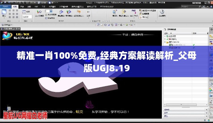 精准一肖100%免费,经典方案解读解析_父母版UGJ8.19