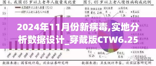 2024年11月份新病毒,实地分析数据设计_穿戴版CTW6.25