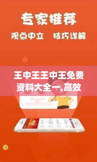 王中王王中王免费资料大全一,高效方法评估_网页版KFV3.77