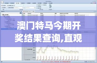 澳门特马今期开奖结果查询,直观解析解答方案解释_明亮版BZC1.80